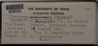 Image Associated With the Occurence